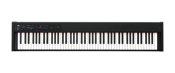 D1 BK Digital Piano